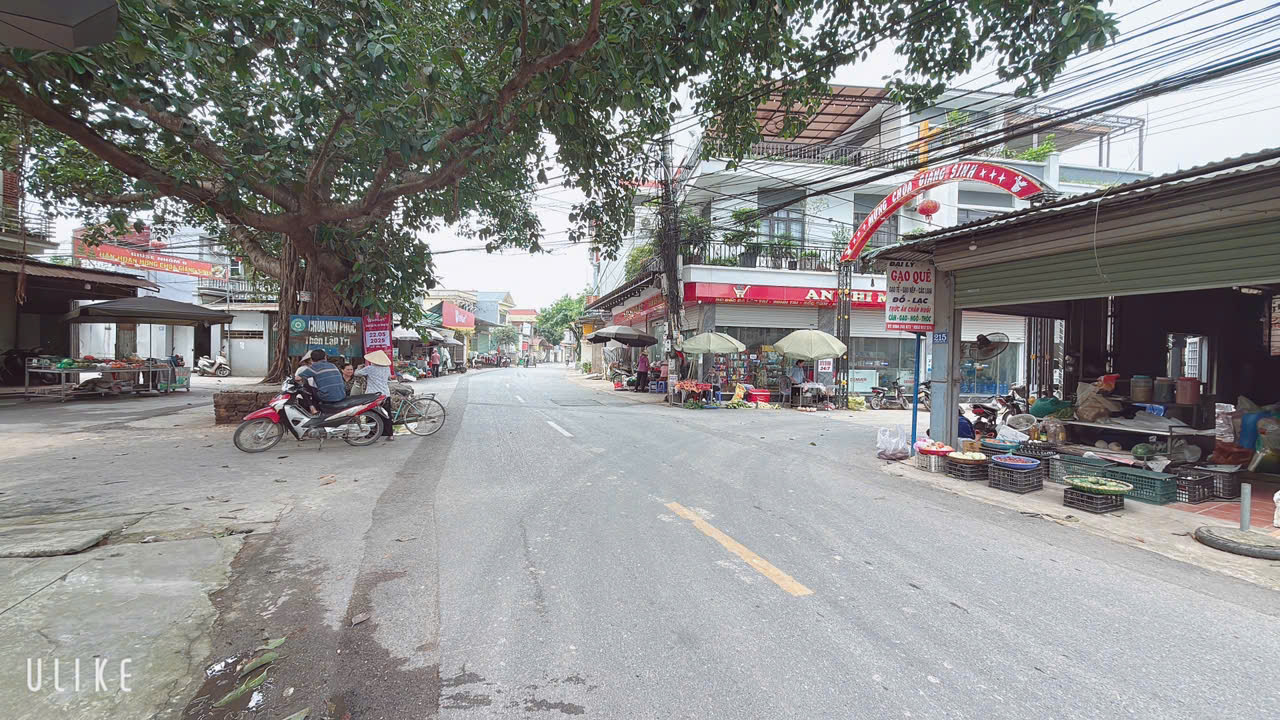 LÔ ĐẤT RƠI TIỀN LÀ THẮNG ĐƯỜNG  CHỤC CHÍNH THÔNG RỘNG 6 M DT 80,9  TẠI LẬP TRÍ MINH TRÍ SÓC SƠN HÀ - Ảnh 3