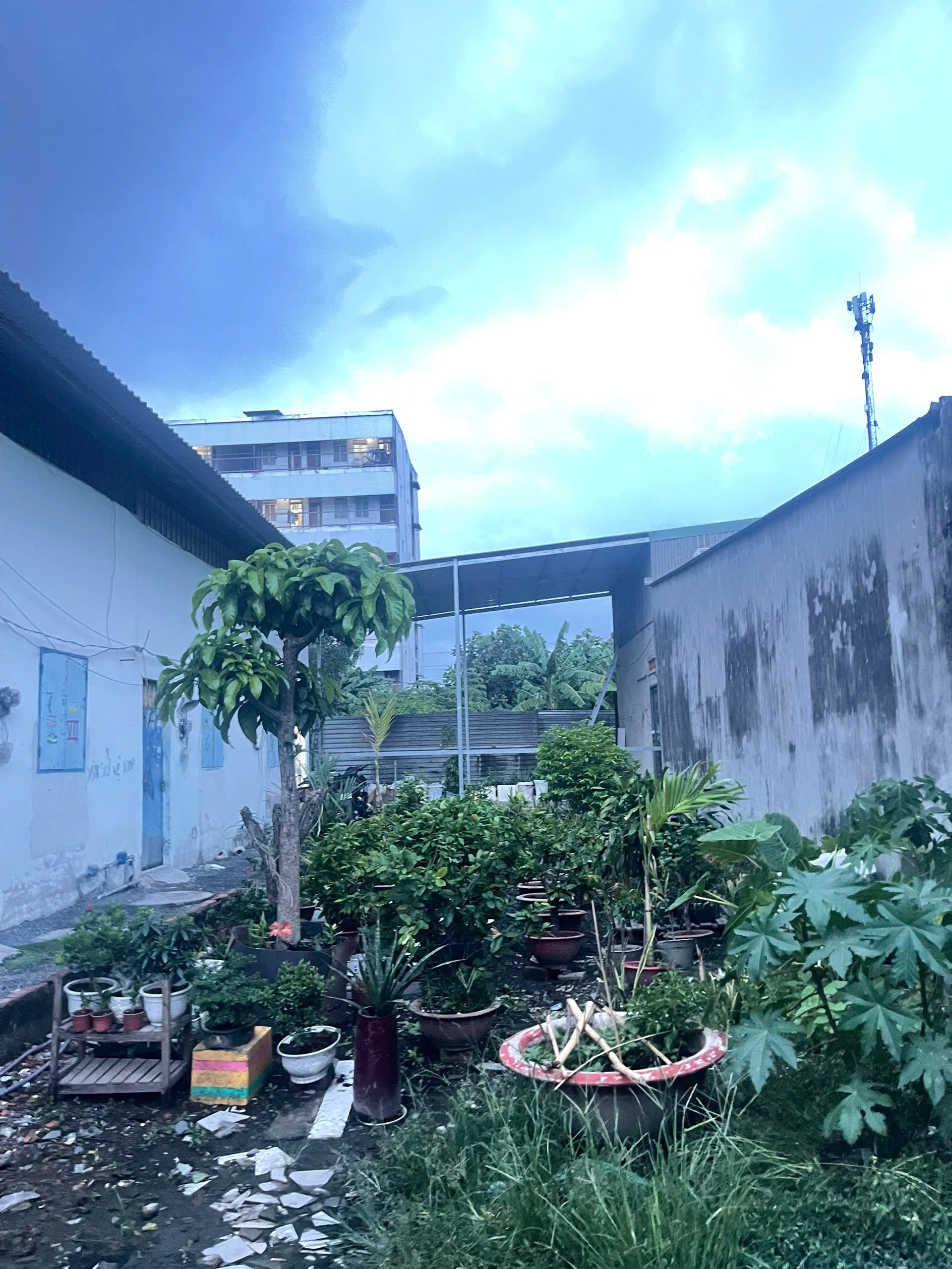 🌈Chính Chủ Cần Bán Đất Thổ Cư An Phú Đông 10- Quận 12 97,2m2 (5,4x18)-HTT- chỉ 4,3tỷ💵<br><br>⛔️Diện - Ảnh 1