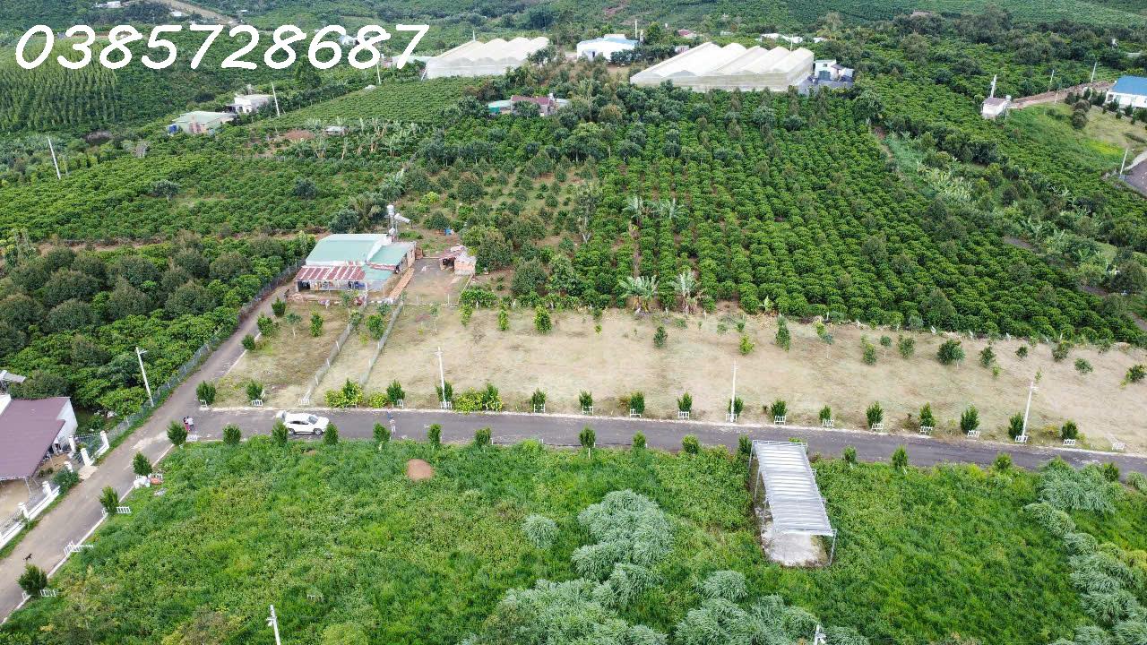 CẦN BÁN ĐẤT THỔ CƯ GIÁ RẺ TẠI LỘC AN – BẢO LÂM - Ảnh 1