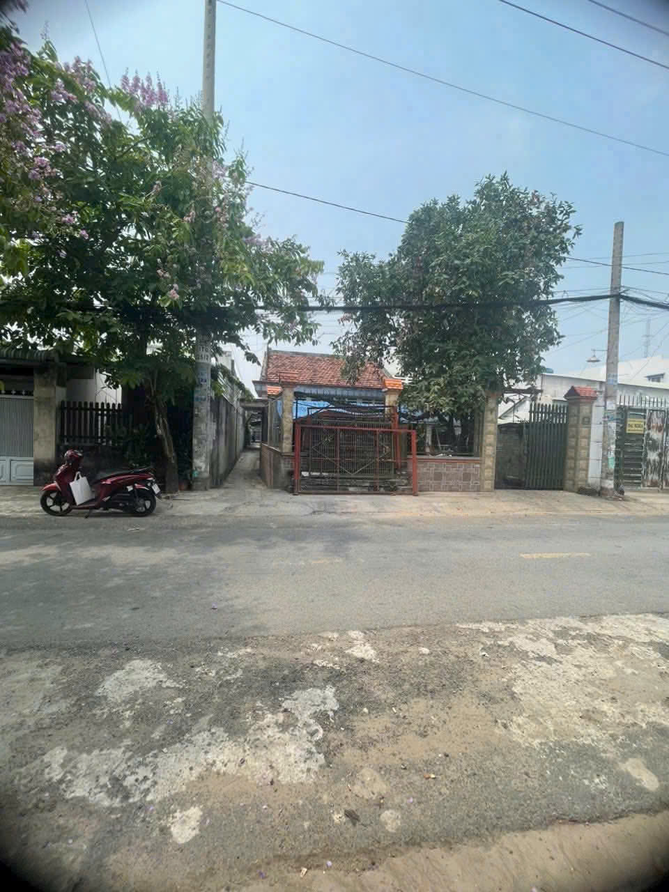 BÁN NHÀ MẶT TIỀN ĐƯỜNG NHỰA TAM ĐÔNG 25 – DT 8x23M – GIÁ CHỈ 6.5 TỶ - Ảnh 1
