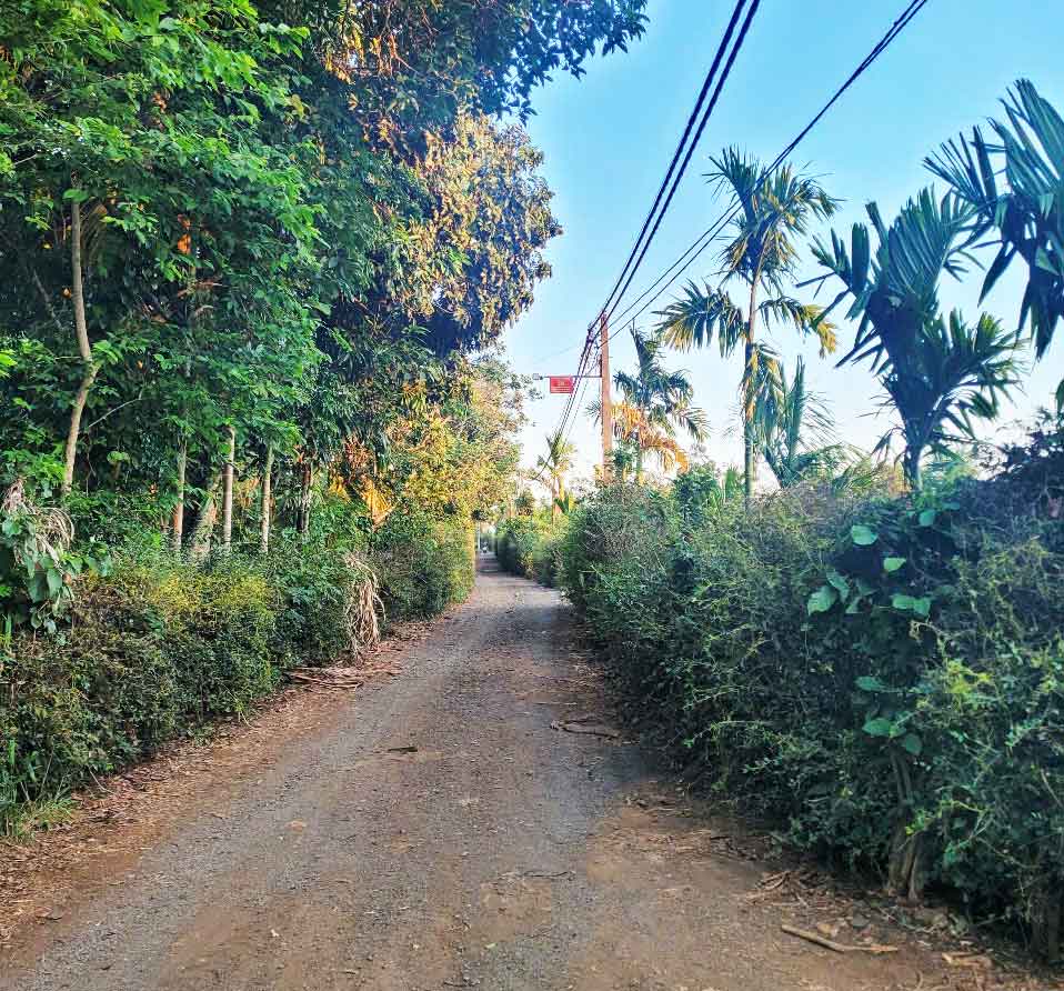 🔥 SIÊU PHẨM ĐẤT BAZAN 1,3HA – CÁCH QL14 CHỈ 400M – GIÁ CHỈ 650TR/SÀO 🔥 - Ảnh 2