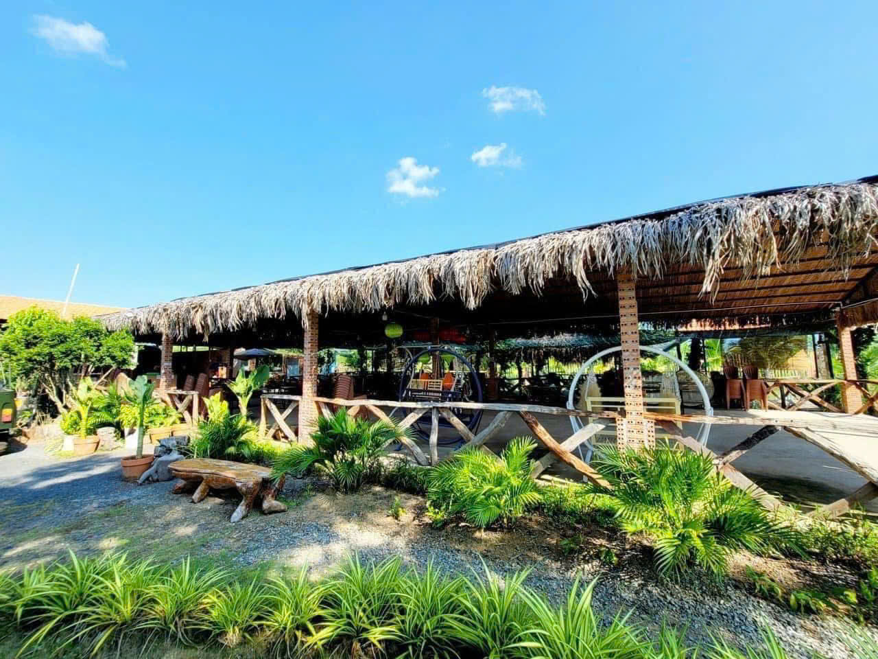 🏡🏡🏡 KHU NHÀ VƯỜN NGHỈ DƯỠNG LONG TÂN - Đất Đỏ - BRVT - Ảnh 2