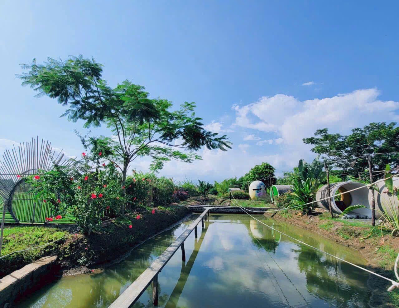 🏡🏡🏡 KHU NHÀ VƯỜN NGHỈ DƯỠNG LONG TÂN - Đất Đỏ - BRVT - Ảnh 1