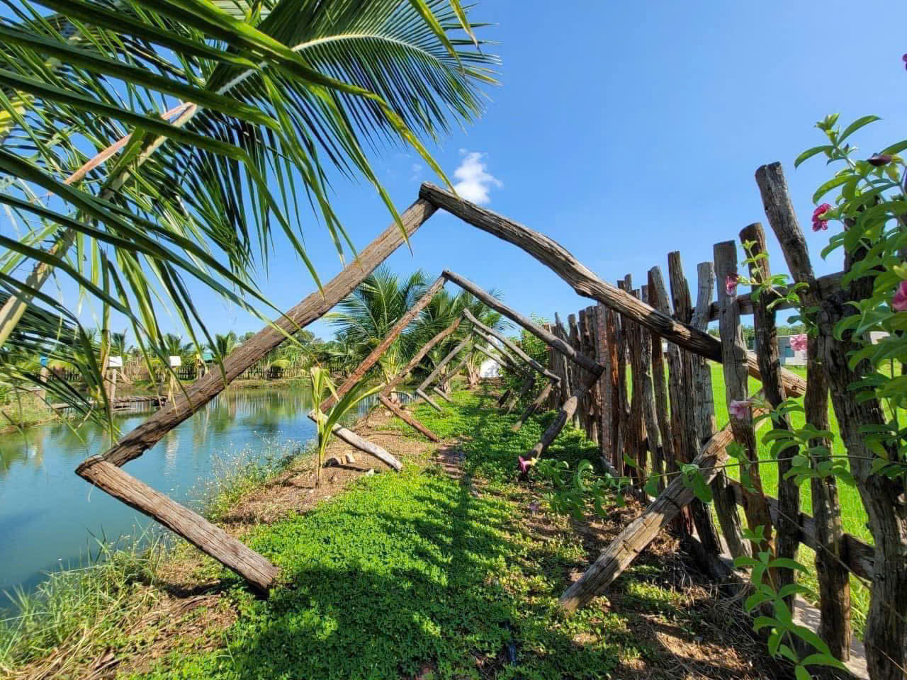 🏡🏡🏡 KHU NHÀ VƯỜN NGHỈ DƯỠNG LONG TÂN - Đất Đỏ - BRVT - Ảnh 3