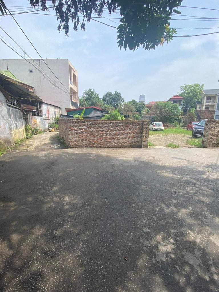 Bán 700m  đất trồng cây lâu năm tại xóm Vang - Cổ Loa - Đông Anh - HN - Ảnh 1