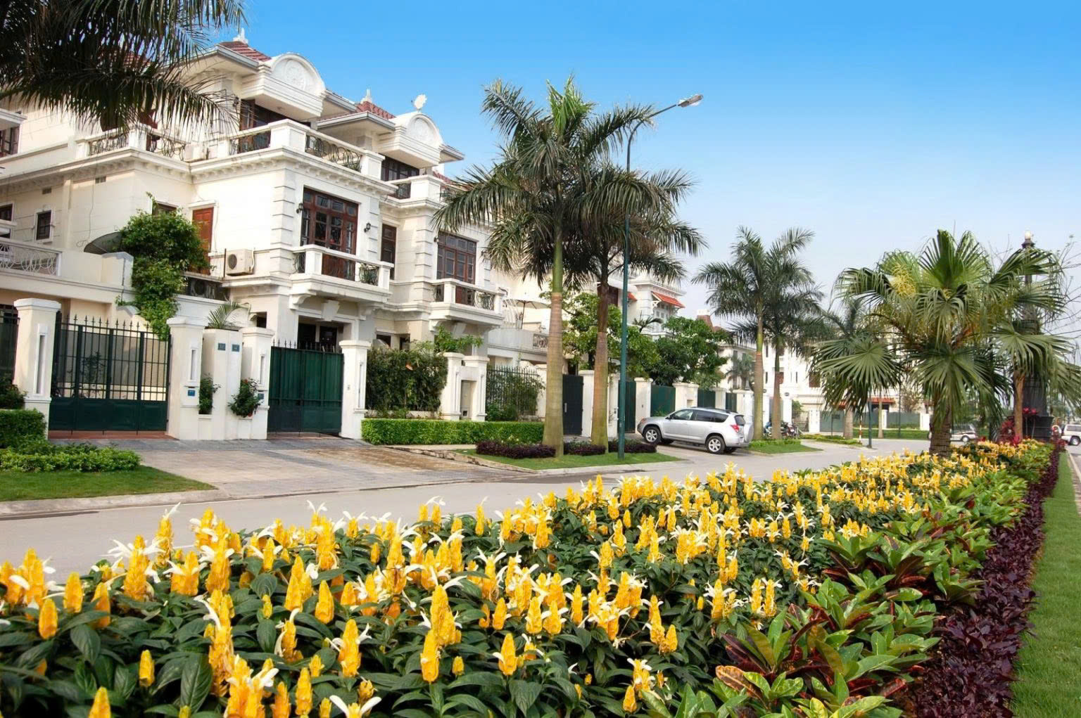 BÁN BIỆT THỰ KHU C KĐT CIPUTRA, TÂY HỒ - 238M² - MT 9M - MẶT ĐƯỜNG ĐÔI - VIEW TRƯỜNG HỌC - Ảnh chính