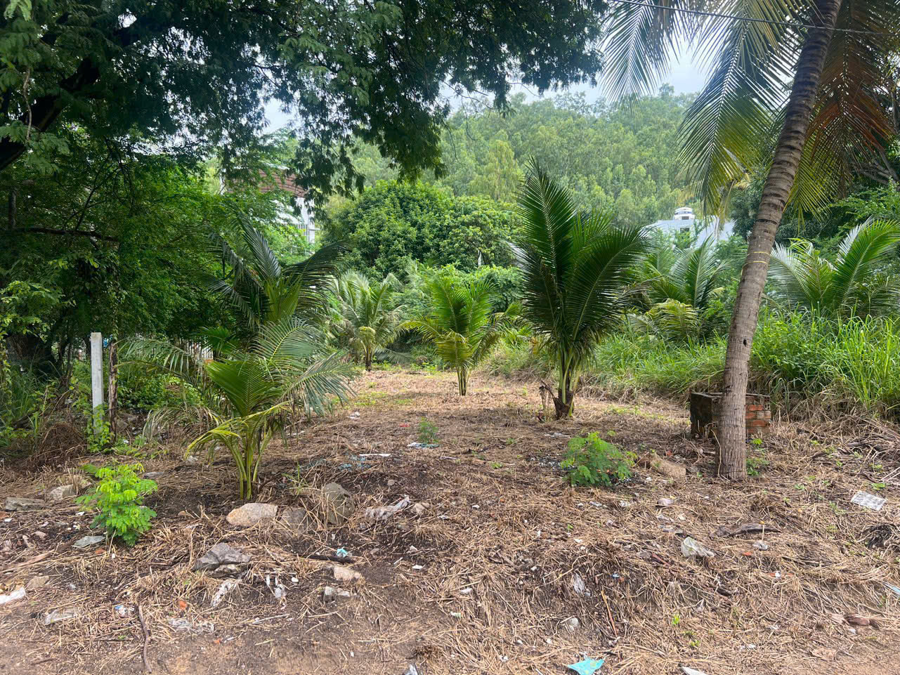 BÁN LÔ ĐẤT FULL THỔ NGANG 8m VIEW SÔNG & SÁT KDL TẮM KHOÁNG BÙN NHA TRANG - Ảnh chính