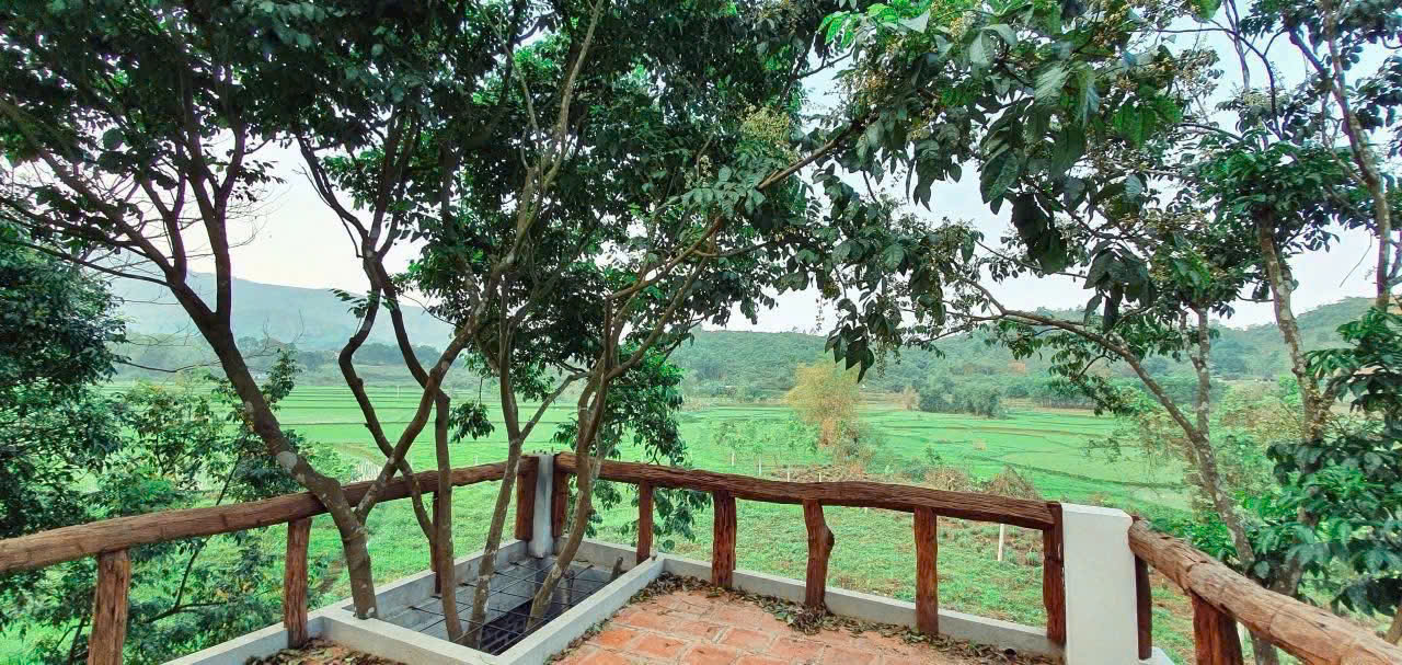 Bán villa 1228m2, 400m2 thổ cư hoàn thiện full NT cao cấp_Tân Vinh Lương Sơn_1x tỷ - Ảnh 2