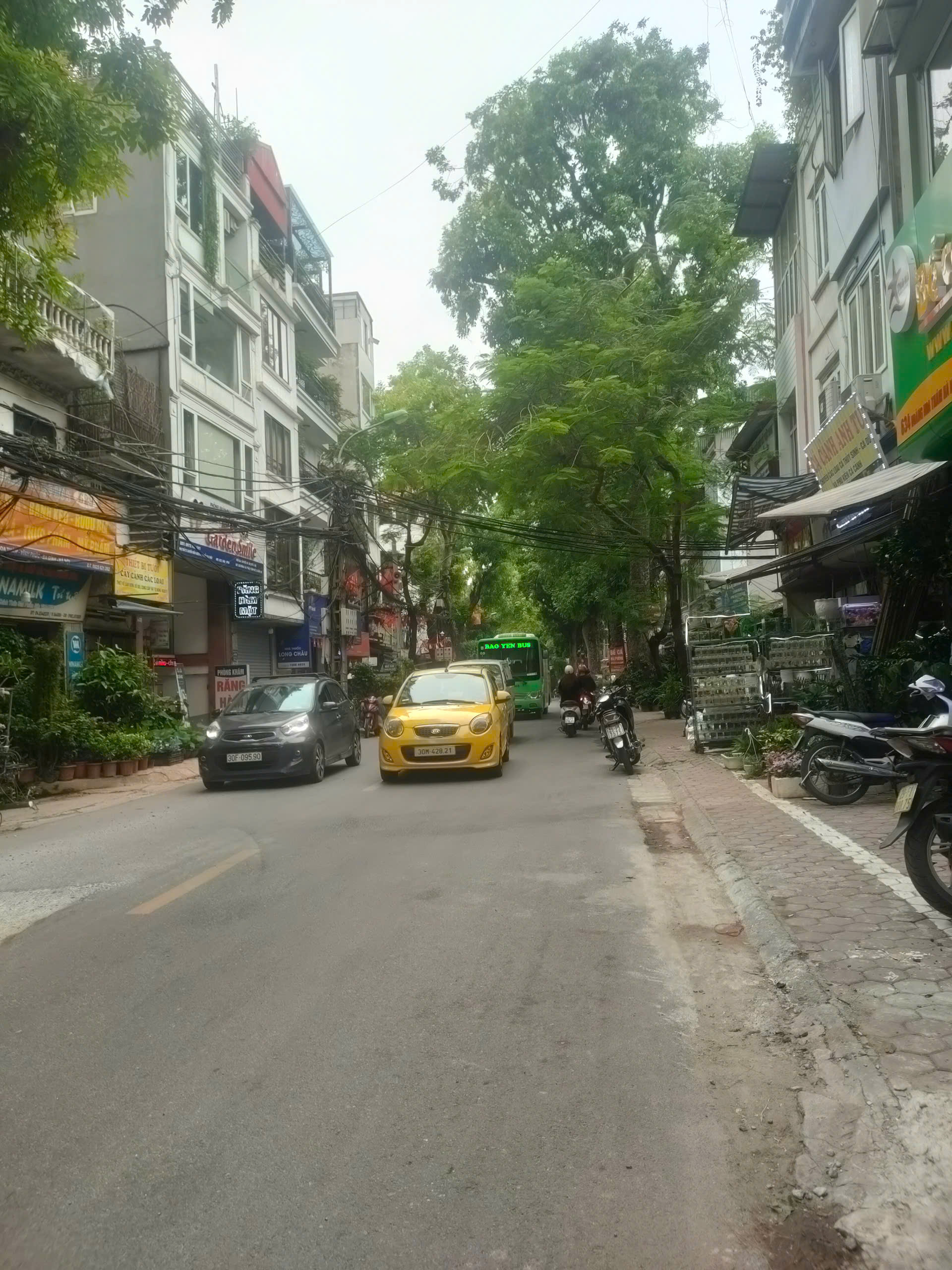 BÁN NHÀ MẶT PHỐ HOÀNG HOA THÁM, VỈA HÈ RỘNG, KINH DOANH ĐỈNH, 85M2 CHỈ 26TỶ - Ảnh chính