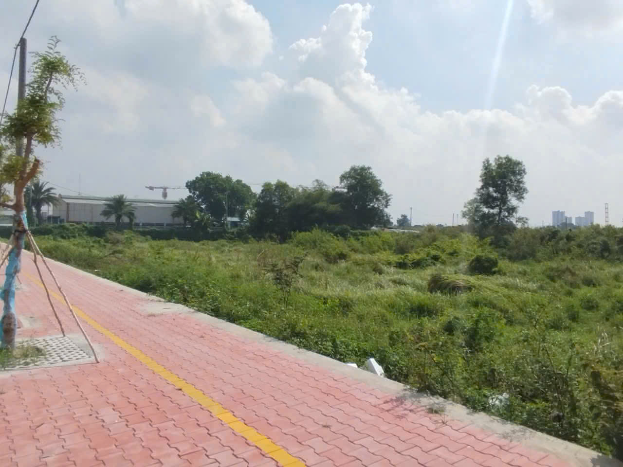 Bán đất 2 Mặt tiền Nguyễn Cửu Phú, gần Trần Đại Nghĩa, 123x55m, đất trống, giá 156 tỷ. - Ảnh 2