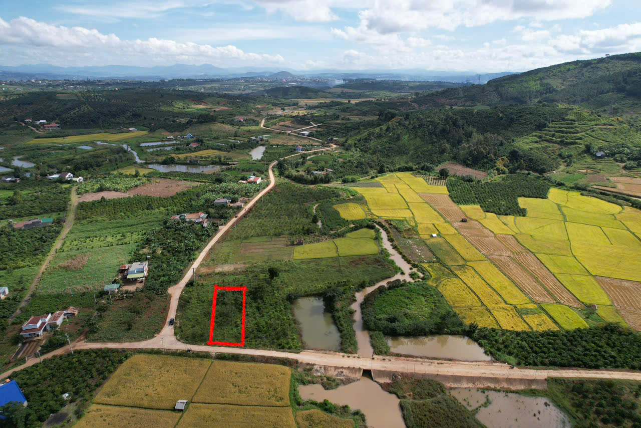ĐẤT ĐẸP - GIÁ TỐT - Vị Trí Đắc Địa Tại Xã Đinh Lạc, Huyện Di Linh, Lâm Đồng - Ảnh chính