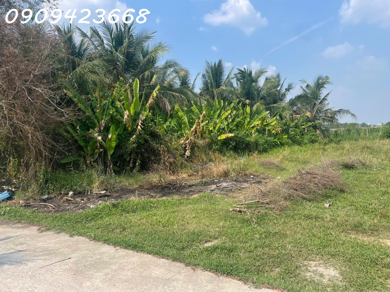 CHÍNH CHỦ CẦN TIỀN KINH DOANH – BÁN GẤP LÔ ĐẤT ĐẸP GẦN VINHOMES 197HA ĐỨC HÒA - Ảnh 2