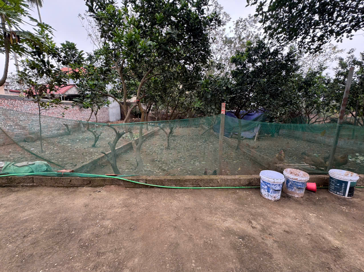 Bán 35m đất tổ 9, Quang Minh, Mê Linh. Gần KCN và trường cao đẳng Y Dược Tuệ Tĩnh - Ảnh chính