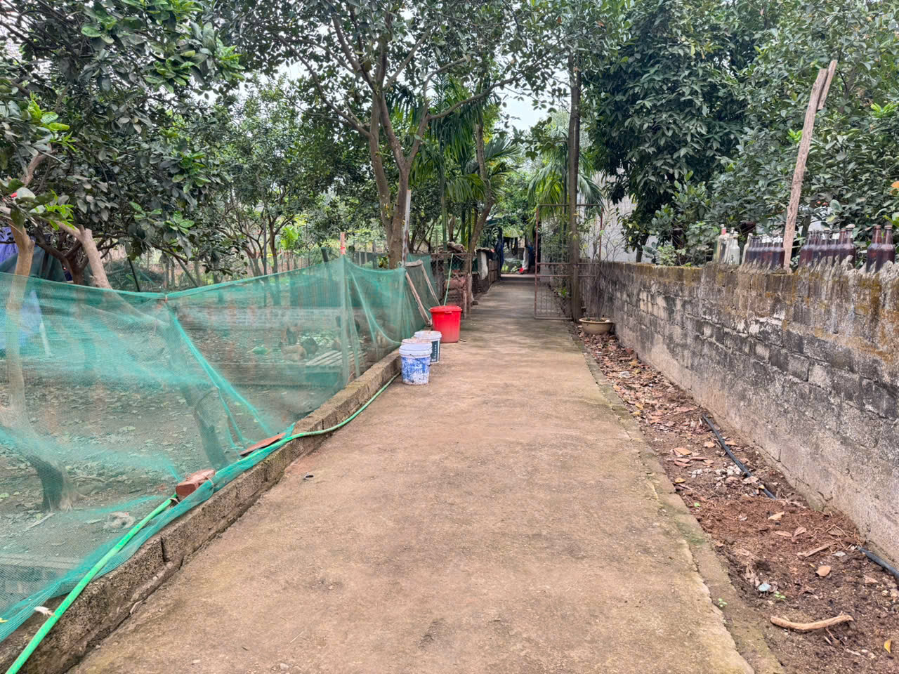 Bán 35m đất tổ 9, Quang Minh, Mê Linh. Gần KCN và trường cao đẳng Y Dược Tuệ Tĩnh - Ảnh 2