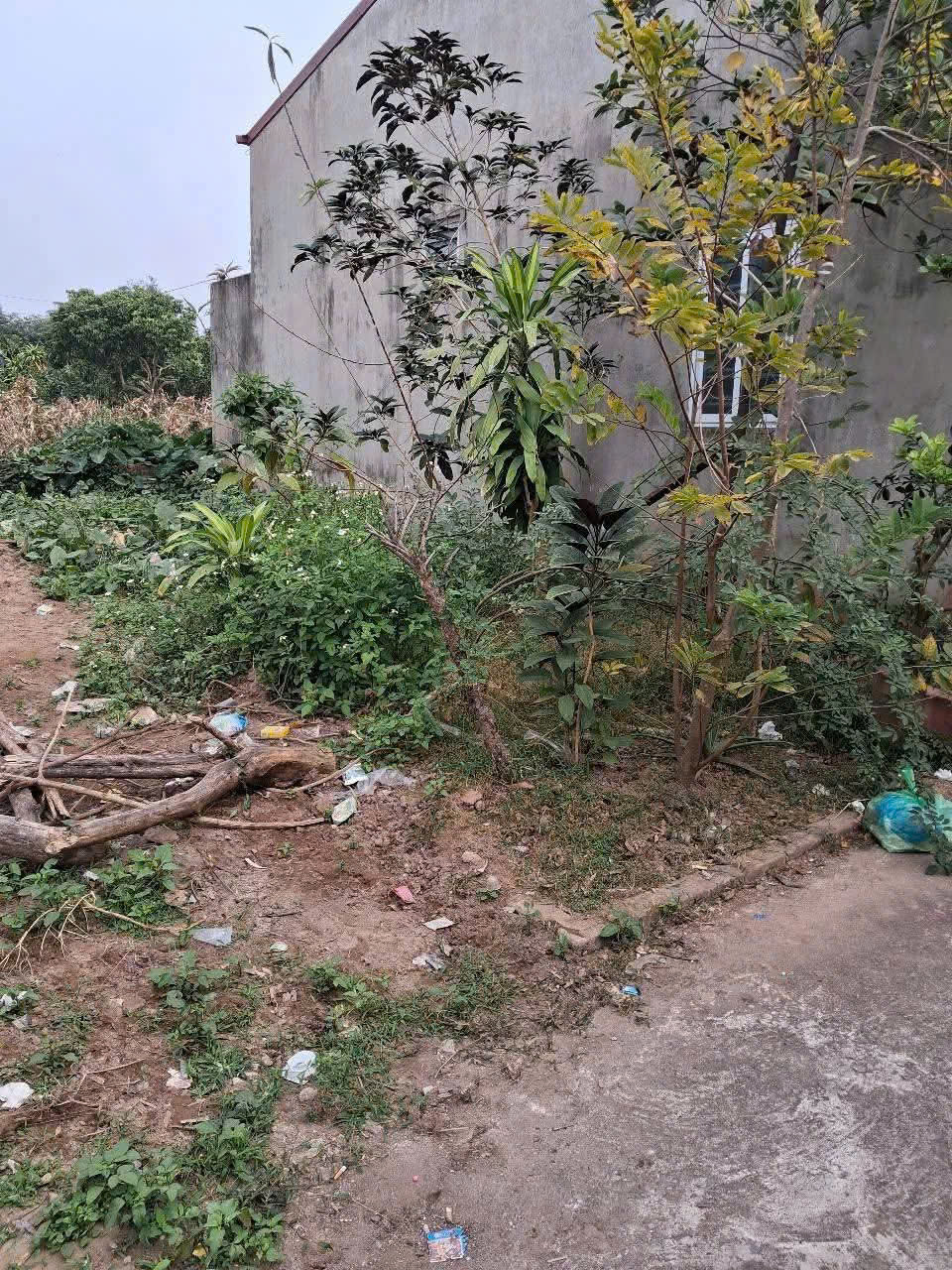 Bán đất mặt đường, Thịnh Liệt, Hoàng Mai. Diện tích 106m2, giá 18 tỷ - Ảnh chính