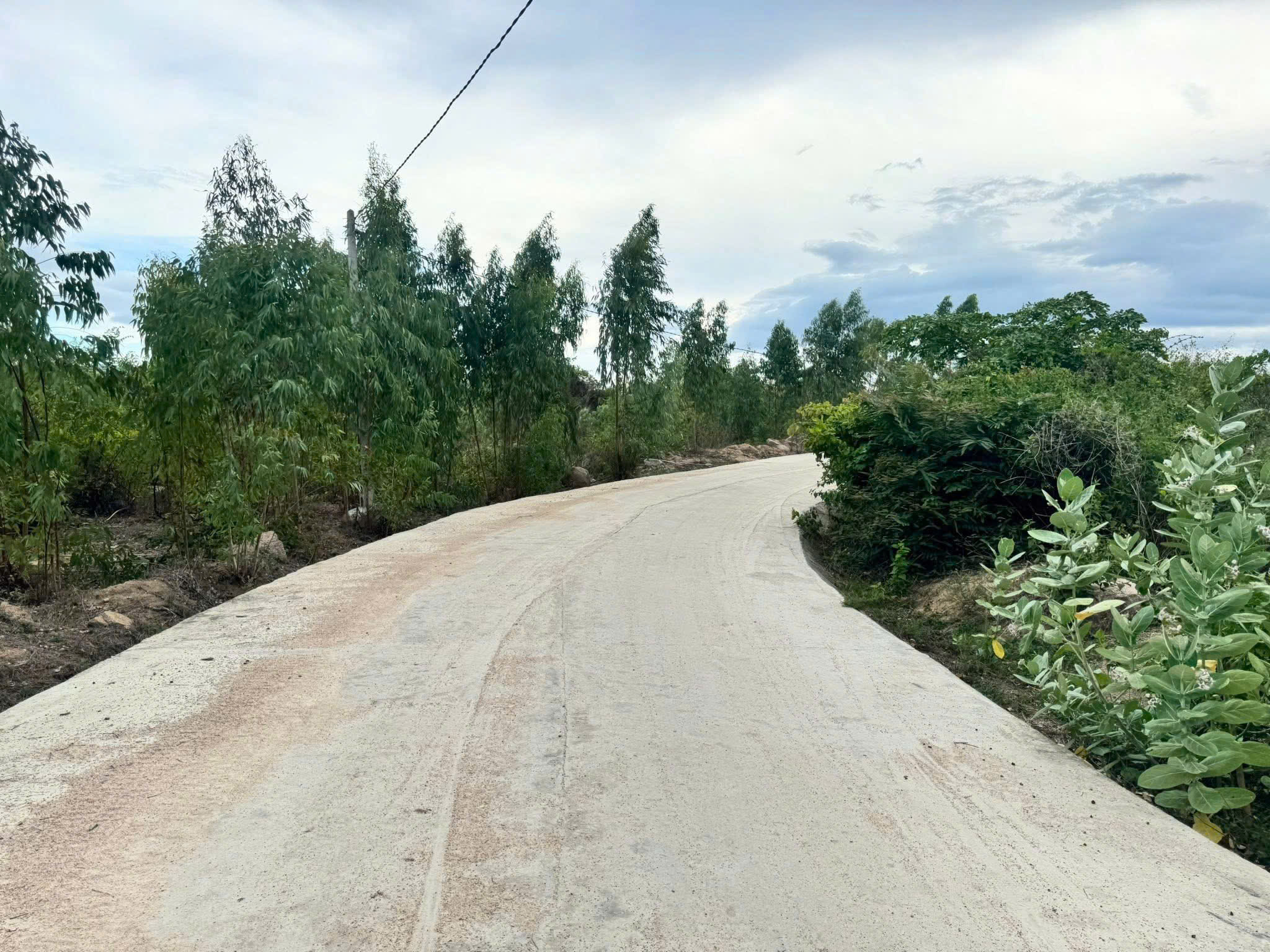 🚜 CỰC PHẨM ĐẤT TRANG TRẠI – 3 MẶT TIỀN – NGAY KDC – CHỈ 690TR/HA - Ảnh chính