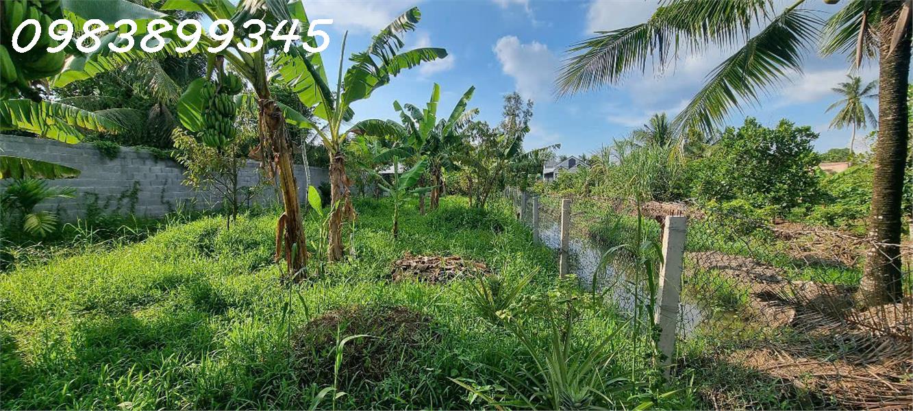 BÁN HOẶC CHO THUÊ MIẾNG ĐẤT MẶT TIỀN PHƯỜNG PHÚ THỨ, Q. CÁI RĂNG, TP. CẦN THƠ - Ảnh 3