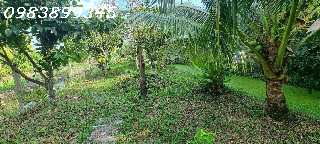 BÁN HOẶC CHO THUÊ MIẾNG ĐẤT MẶT TIỀN PHƯỜNG PHÚ THỨ, Q. CÁI RĂNG, TP. CẦN THƠ - Ảnh 4