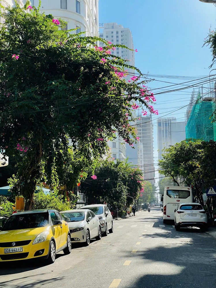 BÁN LÔ GÓC PHAN TÔN CỰC ĐẸP, KHU PHỐ TÂY AN THƯỢNG. LH 0905233234 - Ảnh 1
