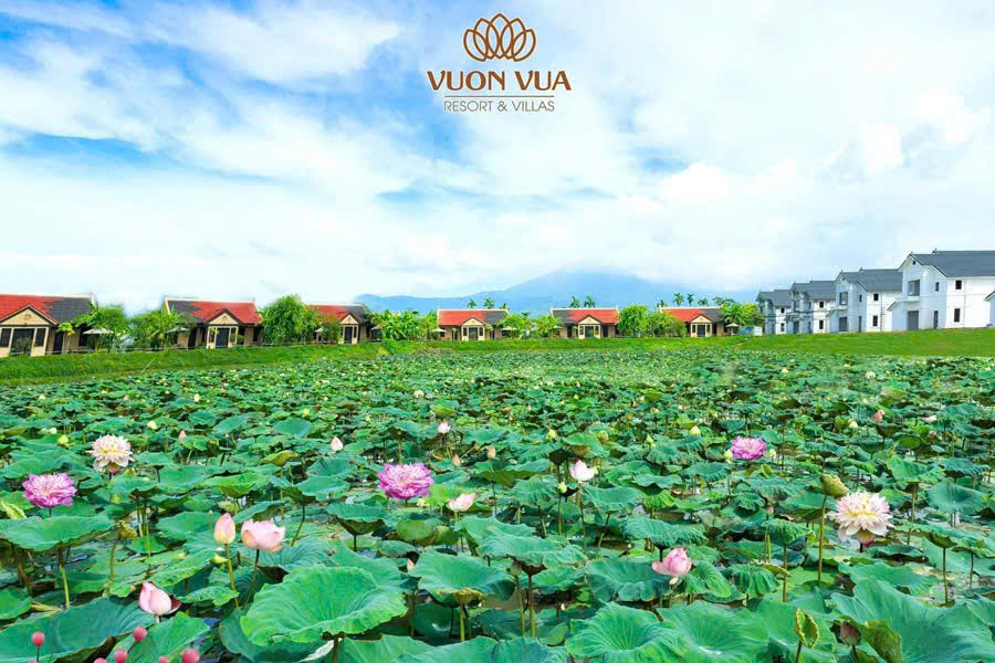 Biệt thự khoáng nóng Onsen - Nghỉ dưỡng chuẩn Nhật, dòng tiền đều tay - Ảnh 3