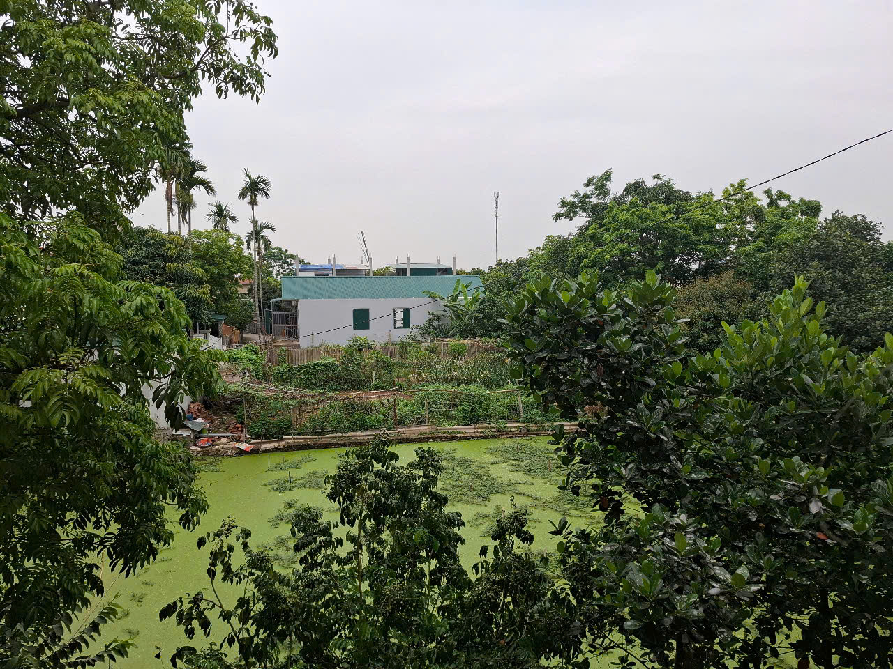 Bán nhà 74m2, 3 tầng, tại Thôn Đồng Lư, xã Đồng quang, Quốc Oai, Hà nội - Ảnh 2
