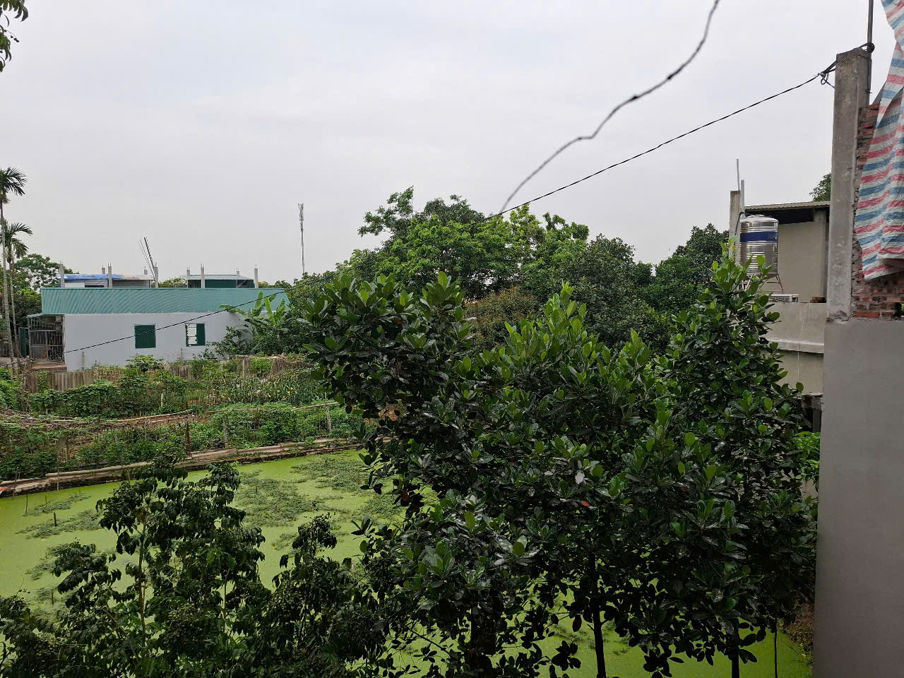 Bán nhà 74m2, 3 tầng, tại Thôn Đồng Lư, xã Đồng quang, Quốc Oai, Hà nội - Ảnh 3