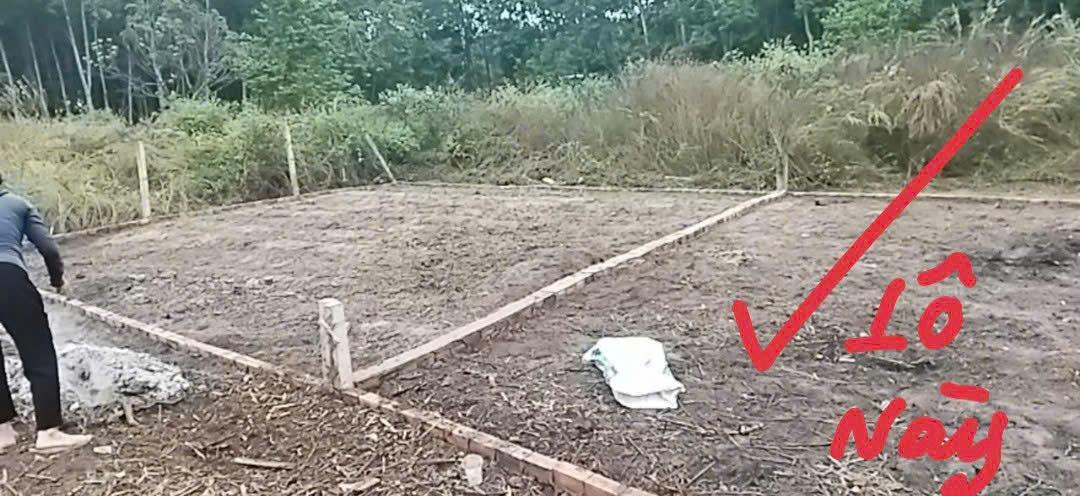 Chính chủ bán đất 95m2 Bùi Thị Điệt, Xã Nhuận Đức, Củ Chi - Ảnh chính