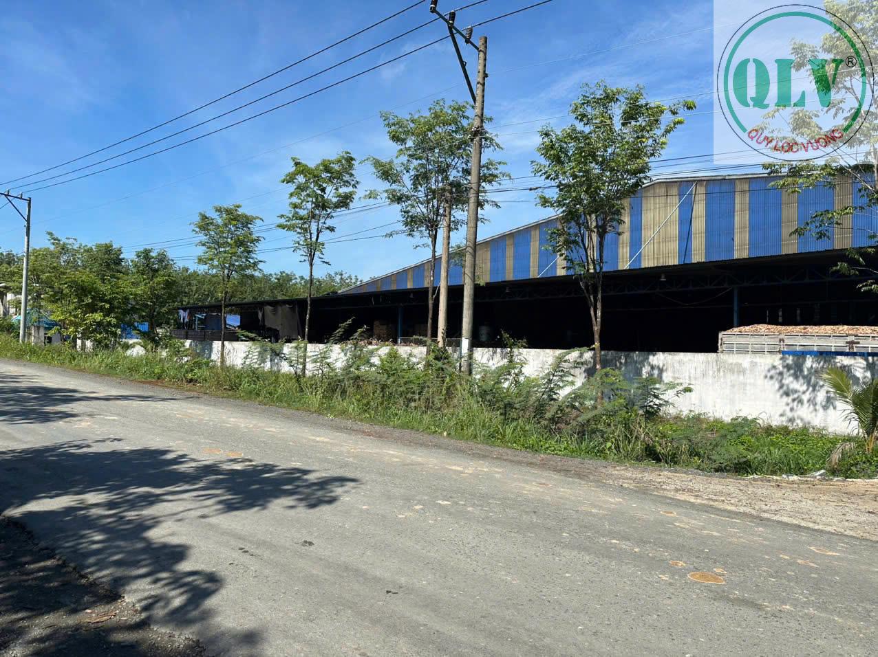 Cho thuê nhà xưởng tại Chơn Thành Bình Phước 26.000M² đầy đủ máy móc giá chỉ 500 triệu - Ảnh 4