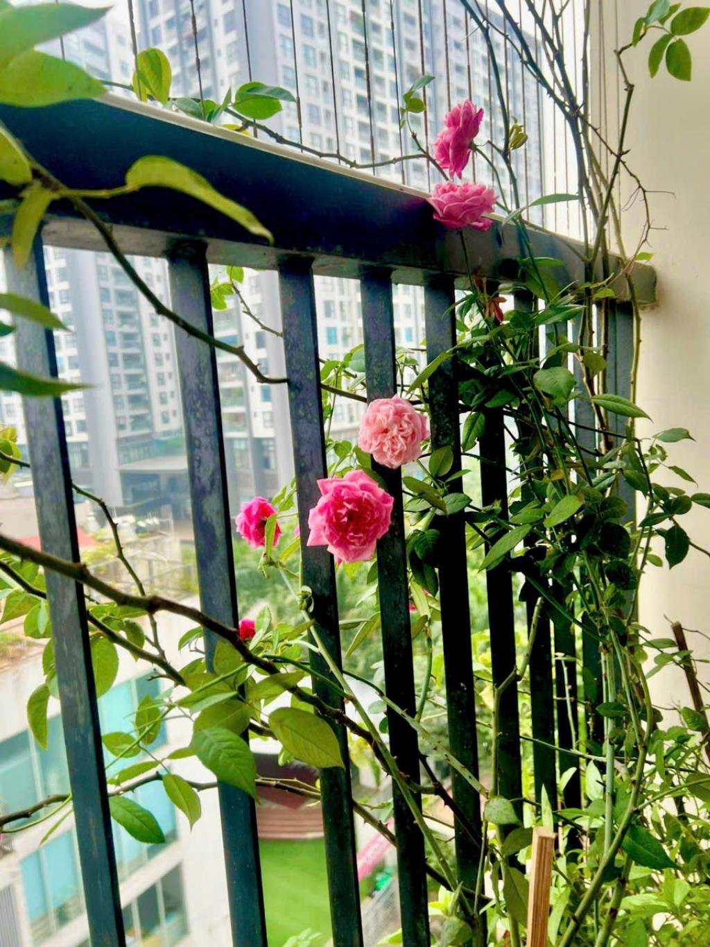 TRUNG TÂM QUẬN HOÀNG MAI- CĂN HỘ ĐẸP FULL NỘI THẤT - Ảnh 1