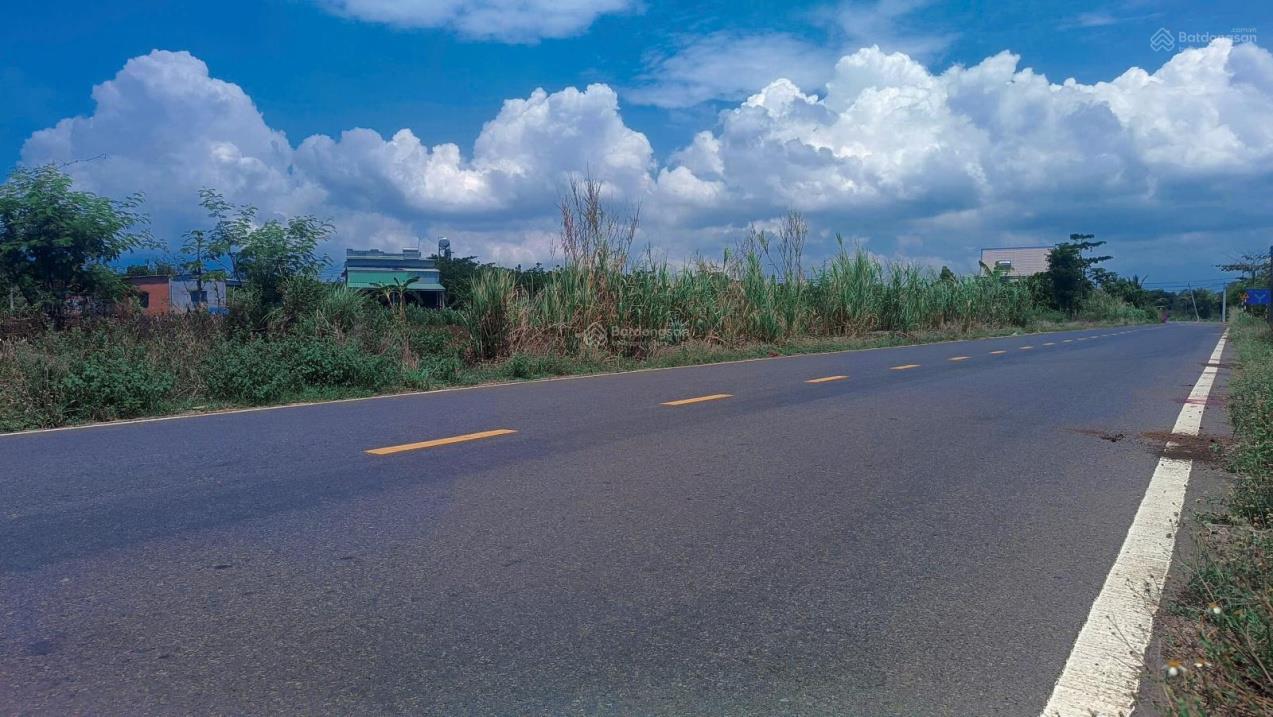 Đất nền Long Tân, Đất Đỏ, Bà Rịa-Vũng Tàu giá cực rẻ - gần biển, sân bay - tiềm năng tăng giá mạnh - Ảnh 1