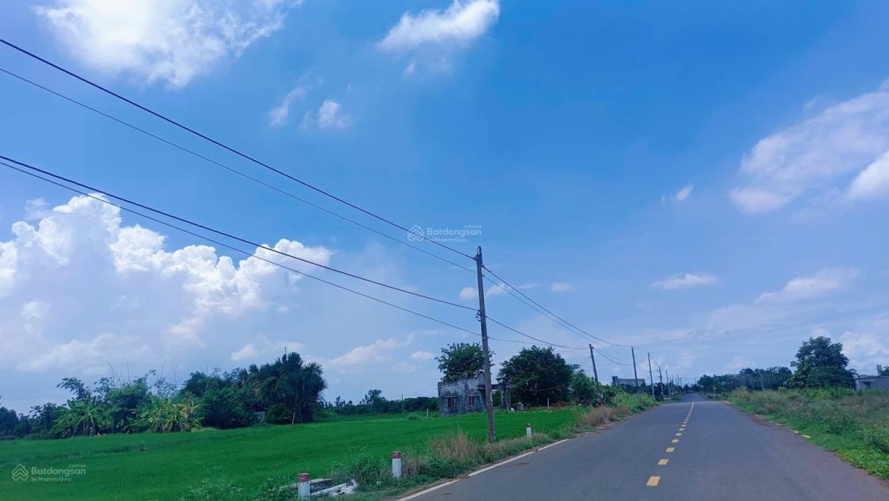 Đất nền Long Tân, Đất Đỏ, Bà Rịa-Vũng Tàu giá cực rẻ - gần biển, sân bay - tiềm năng tăng giá mạnh - Ảnh chính