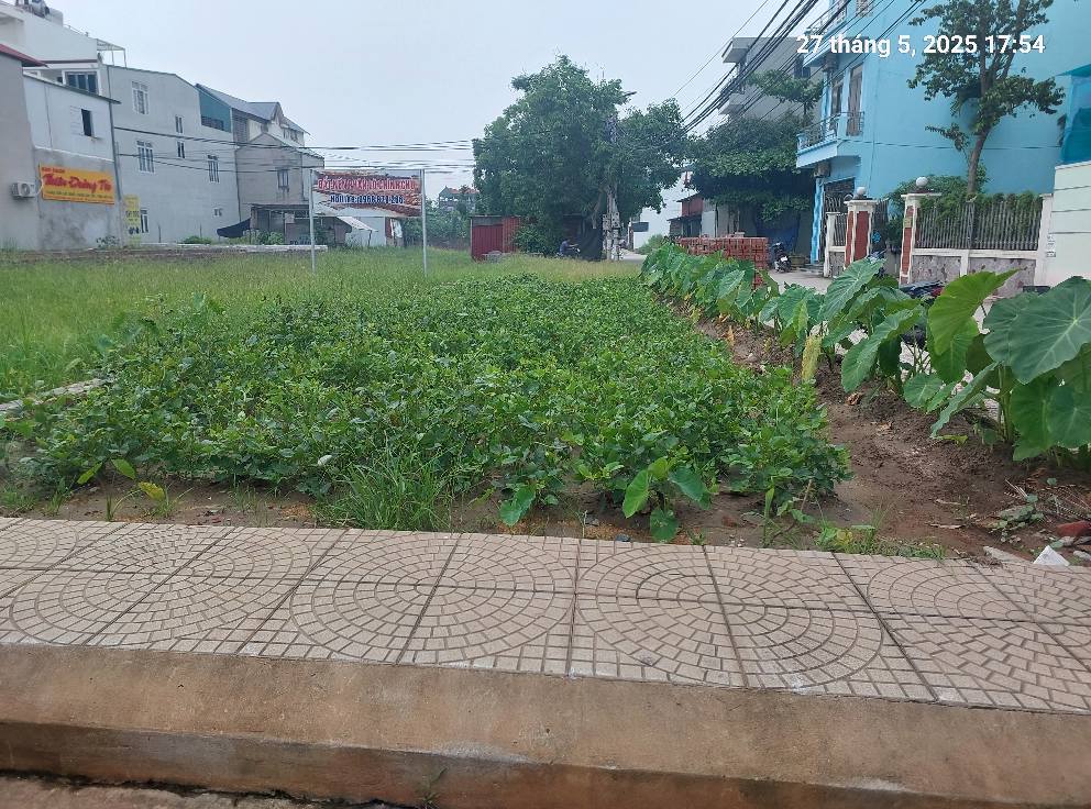 Đất Quang Minh, 75m2, mt5.5m, lô góc, 5.2 tỷ. Mê Linh. - Ảnh 1