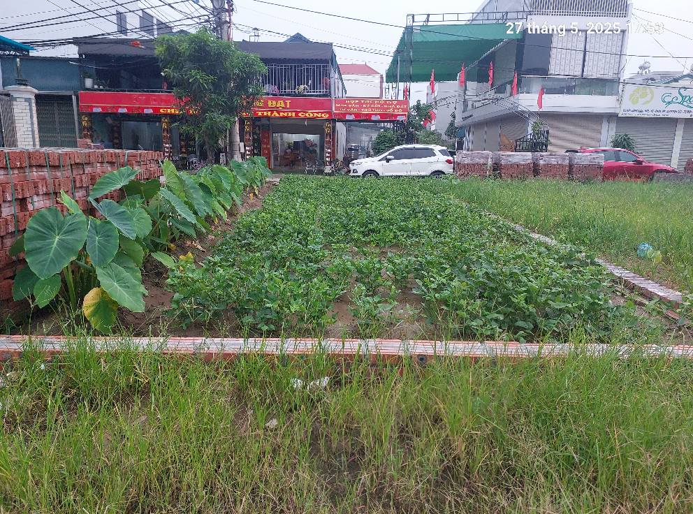 Đất Quang Minh, 75m2, mt5.5m, lô góc, 5.2 tỷ. Mê Linh. - Ảnh 3