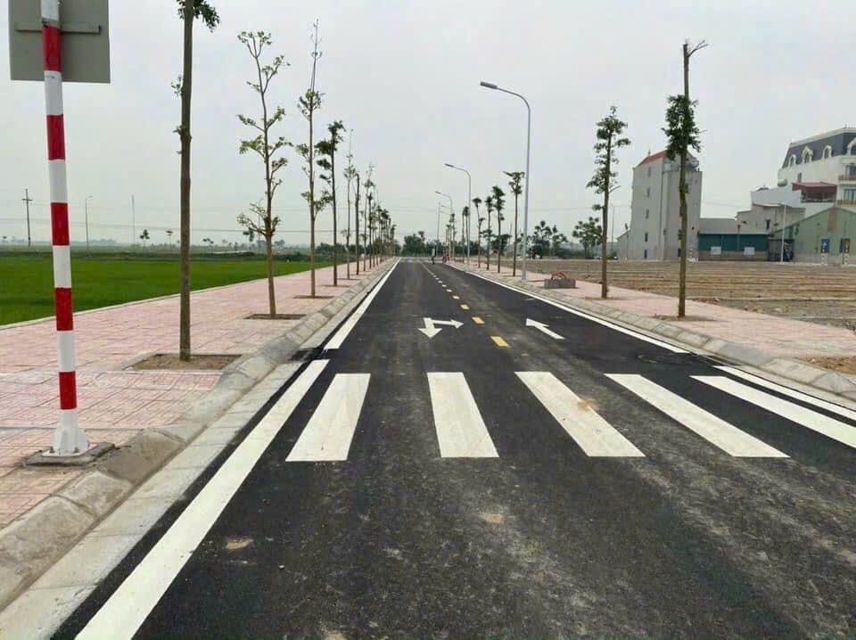 Đất Đấu Giá đã có sổ đỏ - Ảnh 3