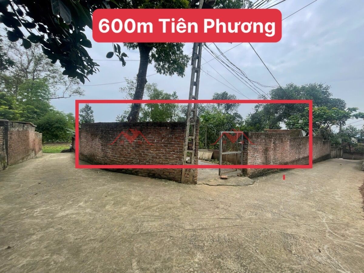 CHÍNH CHỦ BÁN LÔ ĐẤT 600M TẠI TIÊN PHƯƠNG-CHƯƠNG MỸ-HÀ NỘI - Ảnh chính