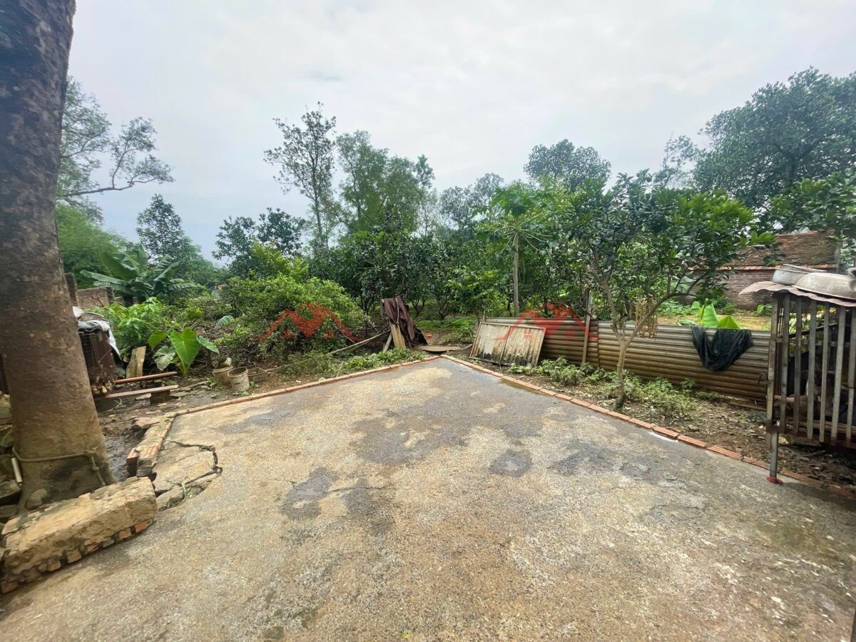 CHÍNH CHỦ BÁN LÔ ĐẤT 600M TẠI TIÊN PHƯƠNG-CHƯƠNG MỸ-HÀ NỘI - Ảnh 2