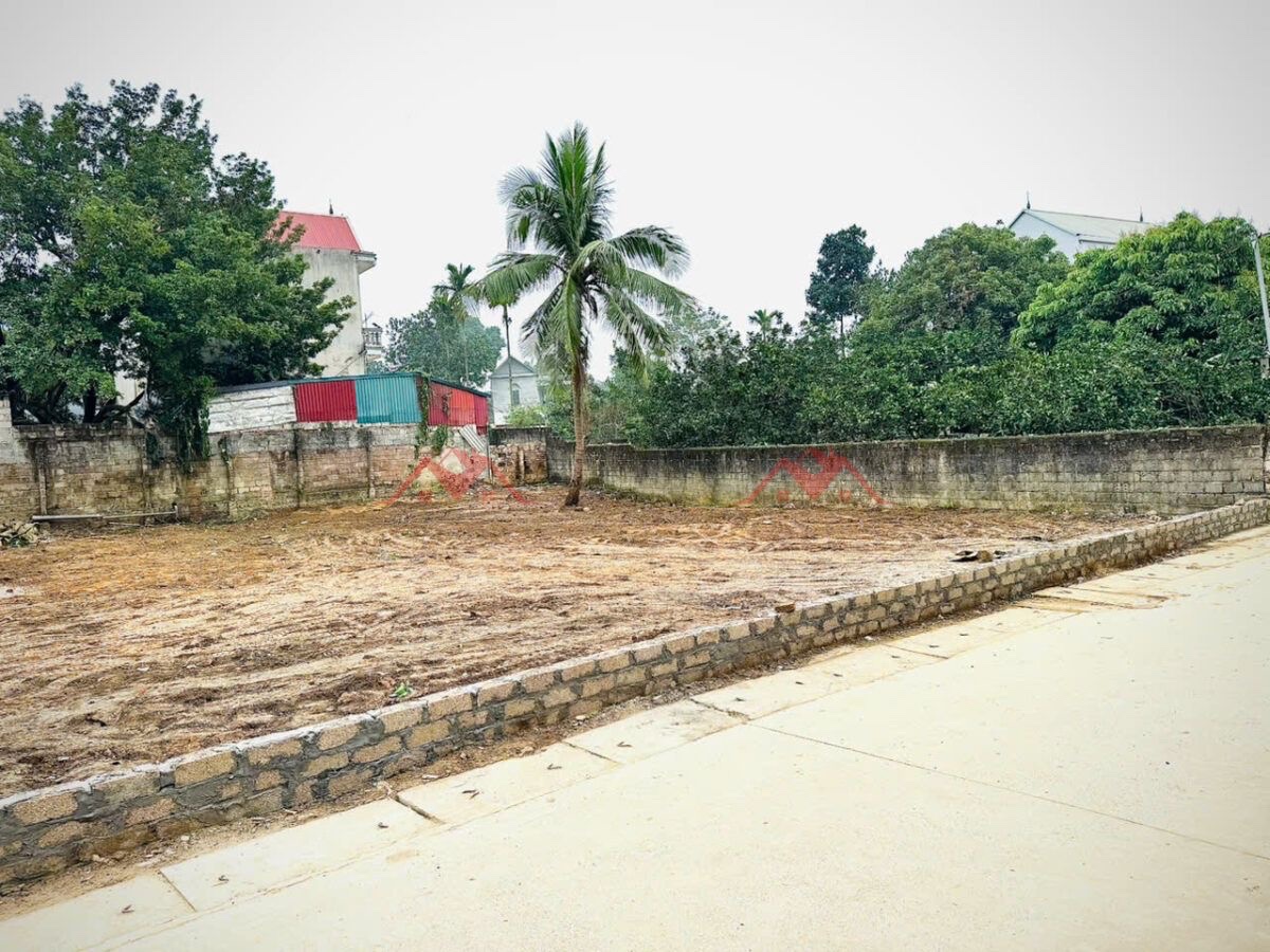 CHÍNH CHỦ BÁN LÔ ĐẤT 467,3M TẠI TÂN TIẾN-CHƯƠNG MỸ-HÀ NỘI - Ảnh 2