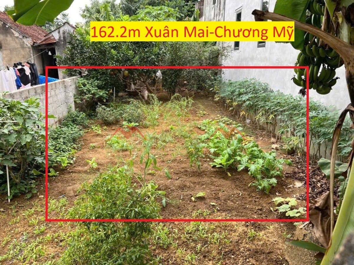 CHÍNH CHỦ BÁN LÔ ĐẤT 162,2M TẠI TT XUÂN MAI-CHƯƠNG MỸ-HÀ NỘI - Ảnh chính