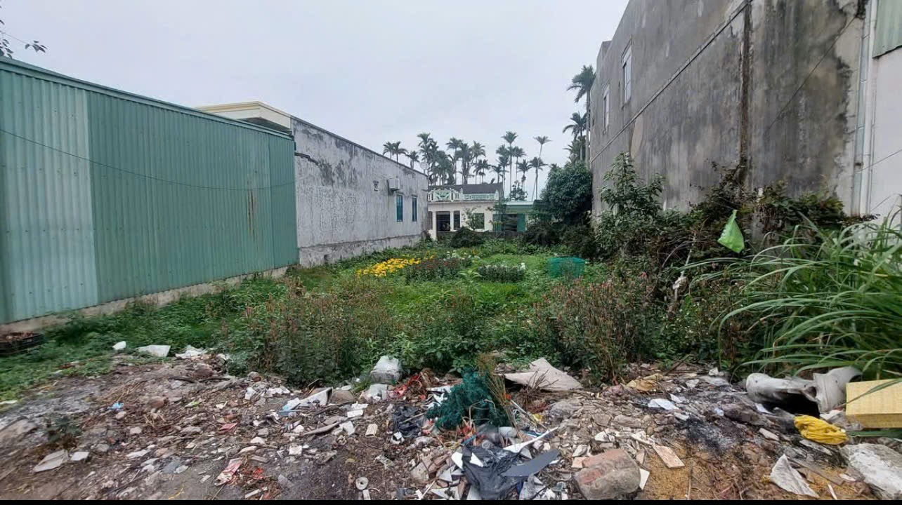 VỊ TRÍ ĐẸP - ĐẦU TƯ SINH LỜI - Cần Bán Đất Mặt Đường Trung nghĩa, Phường Hợp Đức, Đồ Sơn, Hải Phòng - Ảnh 3