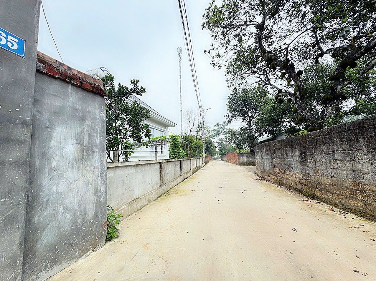 300M2 ĐẤT THỊ XÃ SƠN TÂY, LOANH QUANH 10TR/M2 - Ảnh chính