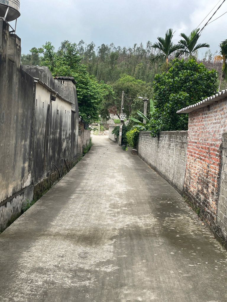 CHÍNH CHỦ BÁN ĐẤT THỔ CƯ SẴN SỔ GIÁ TỐT NHẤT KHU VỰC VĂN ĐỨC-CHÍ LINH - Ảnh chính