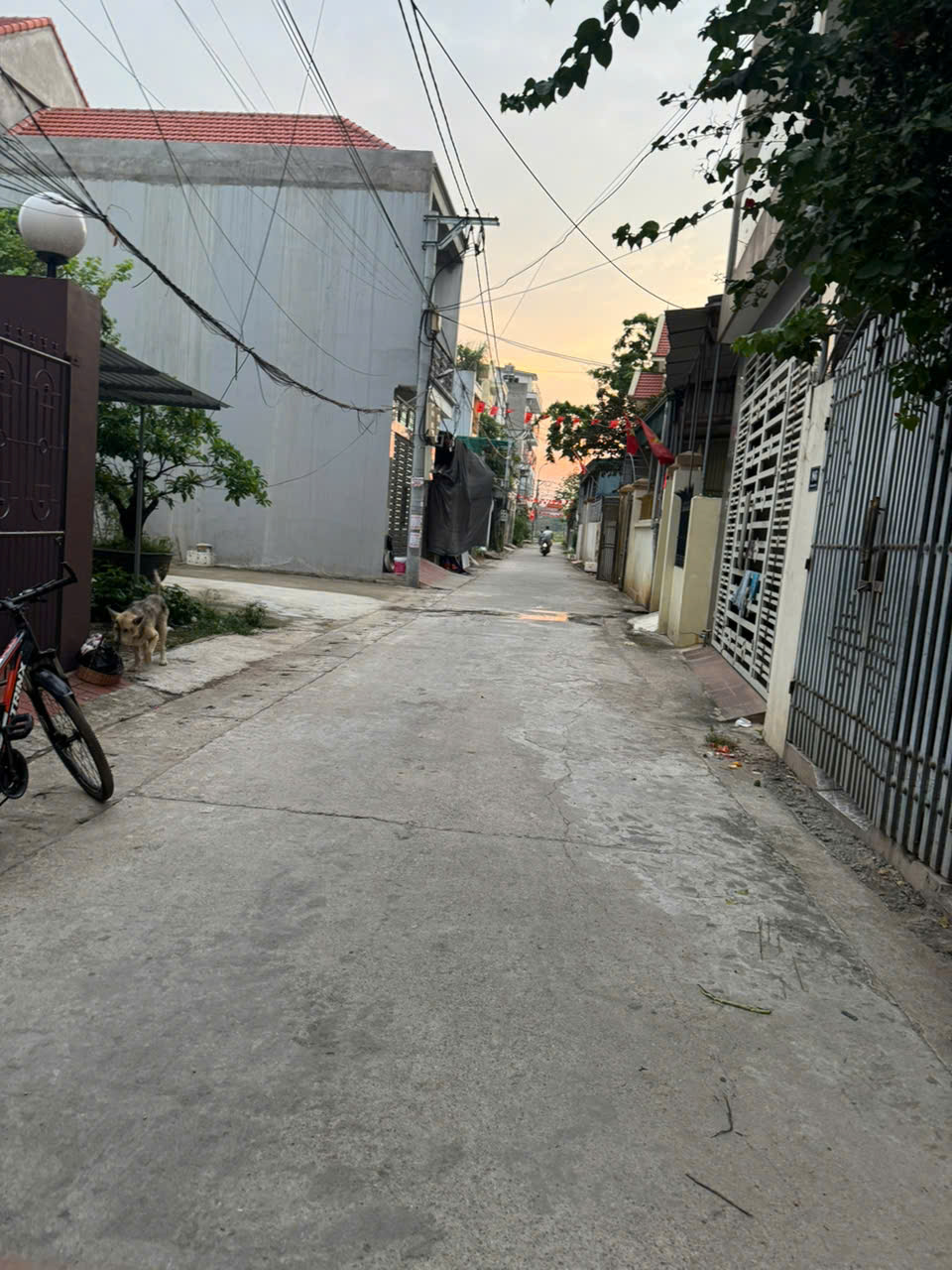 Bán đất Nỏ Bạn, Vân Tảo, Thường Tín - Ảnh chính