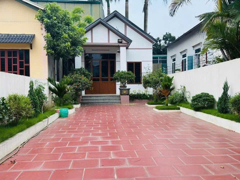 Bán đất tặng nhà tại Đông Yên. 165m full thổ cư - Ảnh chính