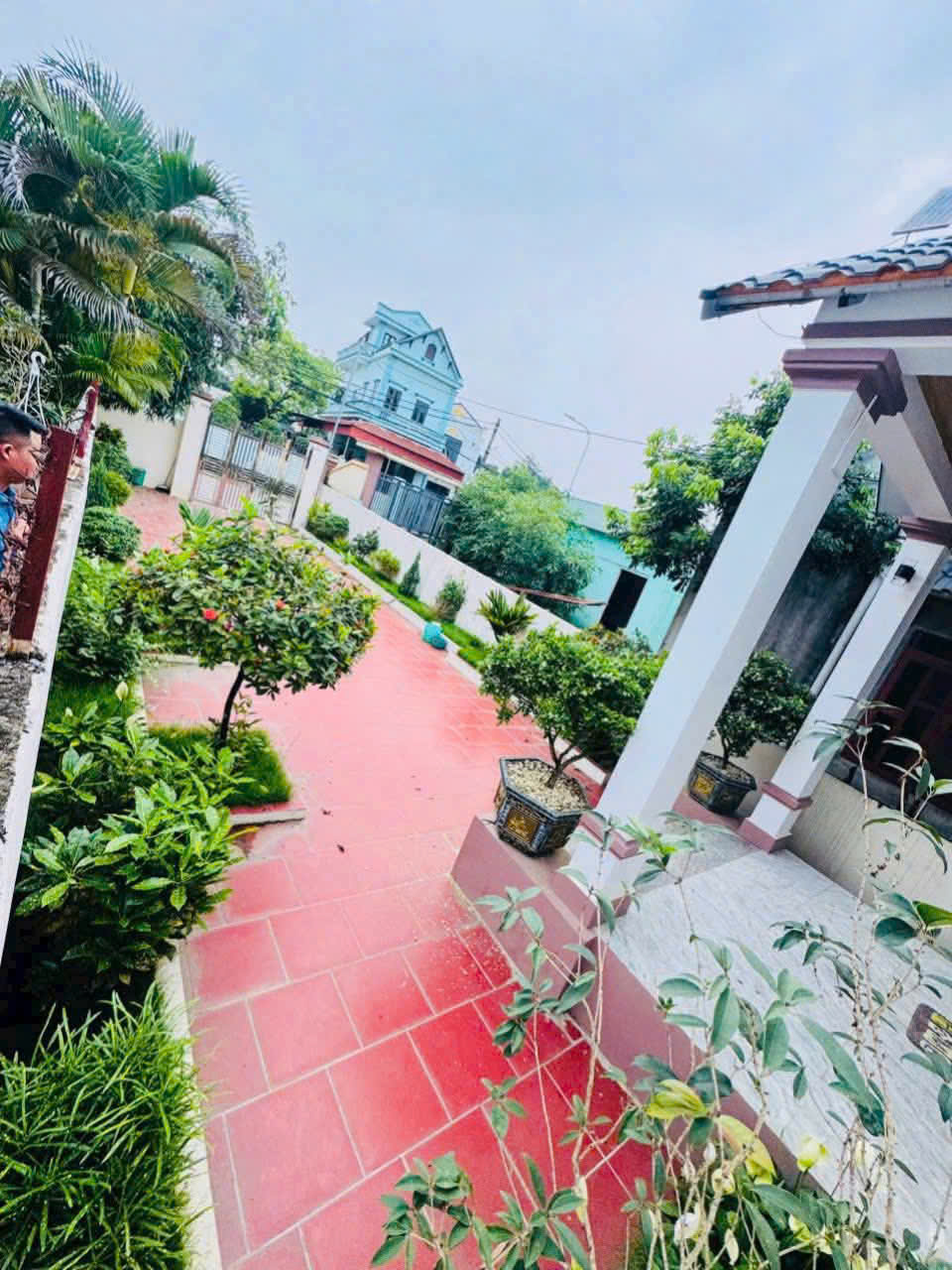 Bán đất tặng nhà tại Đông Yên. 165m full thổ cư - Ảnh 3