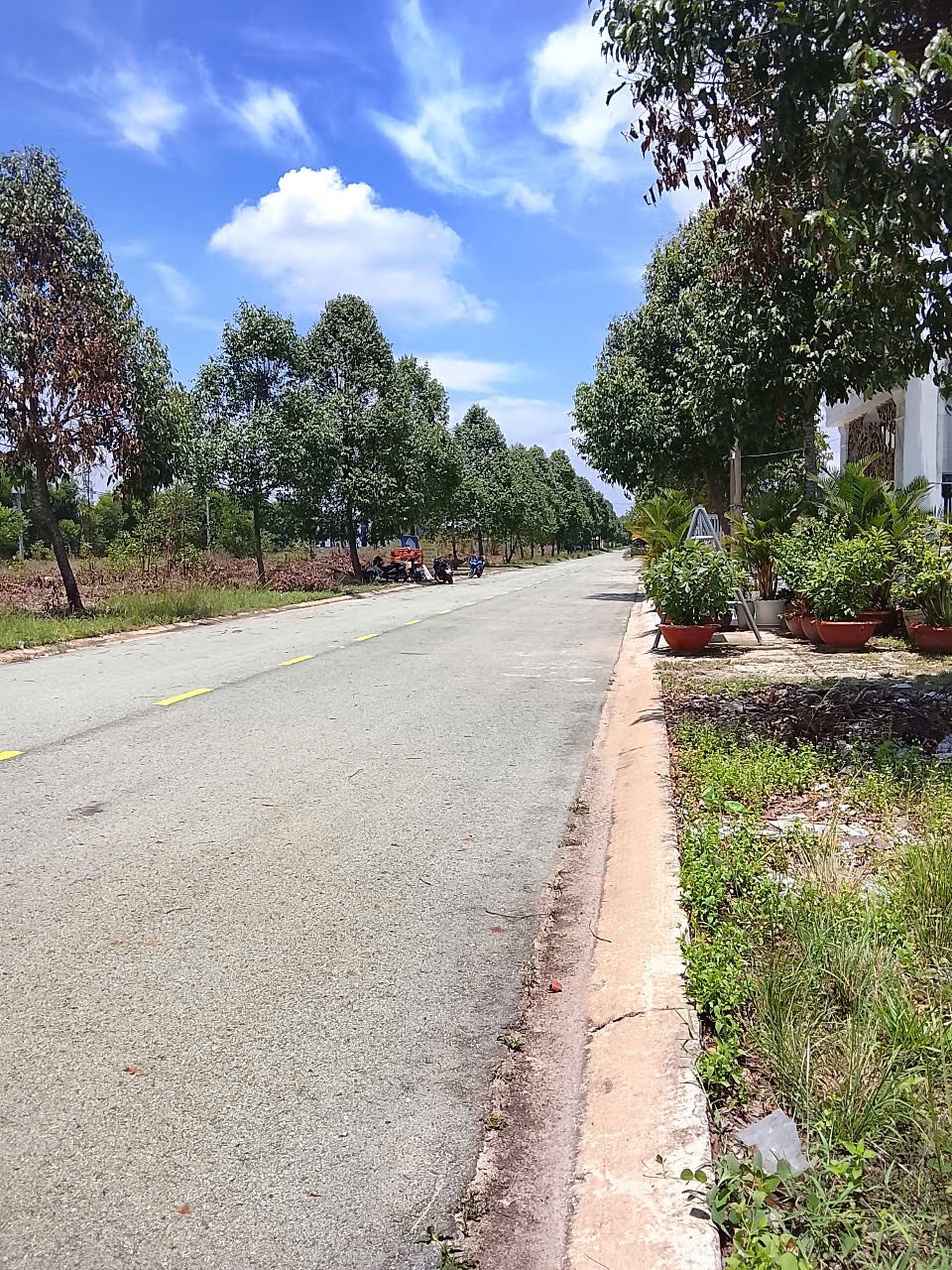 BÁN GẤP LÔ ĐẤT MẶT TIỀN ĐƯỜNG NHỰA 20M - NGAY KCN BÀU BÀNG - GIÁ CHỈ 890 TRIỆU - Ảnh chính