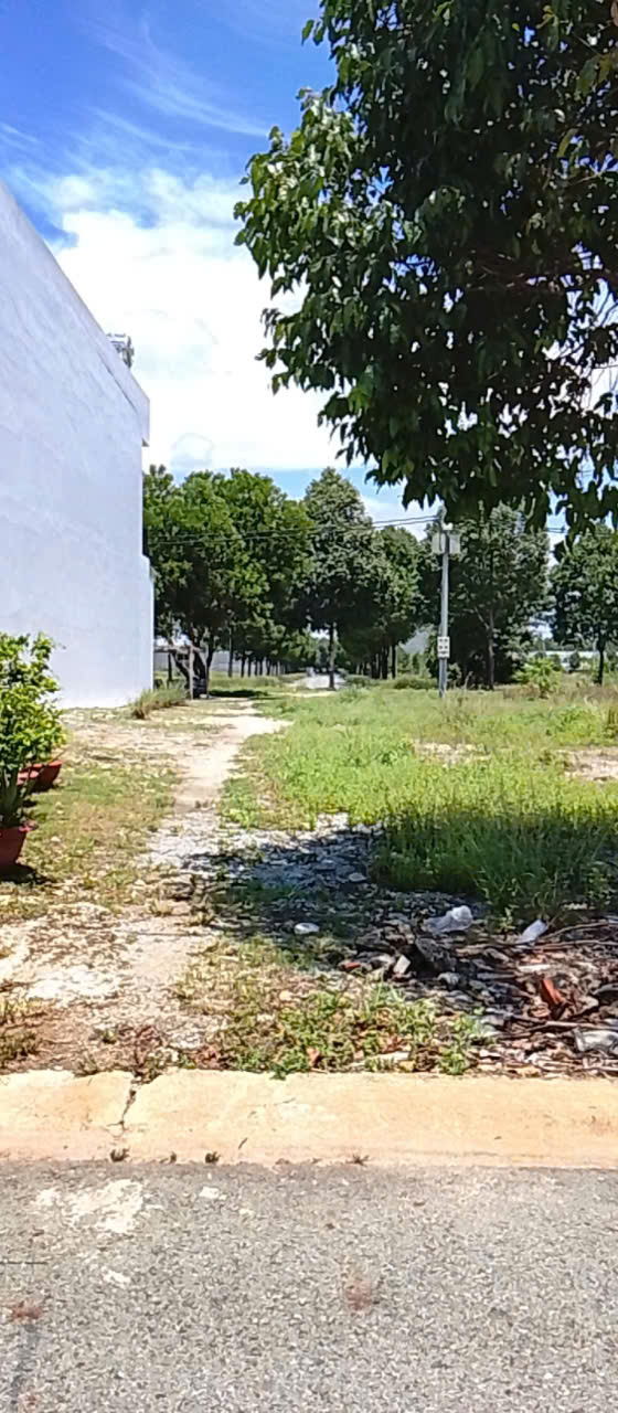 BÁN GẤP LÔ ĐẤT MẶT TIỀN ĐƯỜNG NHỰA 20M - NGAY KCN BÀU BÀNG - GIÁ CHỈ 890 TRIỆU - Ảnh 1