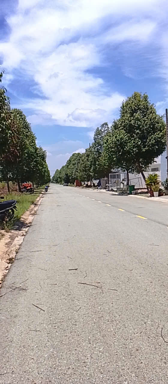 BÁN GẤP LÔ ĐẤT MẶT TIỀN ĐƯỜNG NHỰA 20M - NGAY KCN BÀU BÀNG - GIÁ CHỈ 890 TRIỆU - Ảnh 2