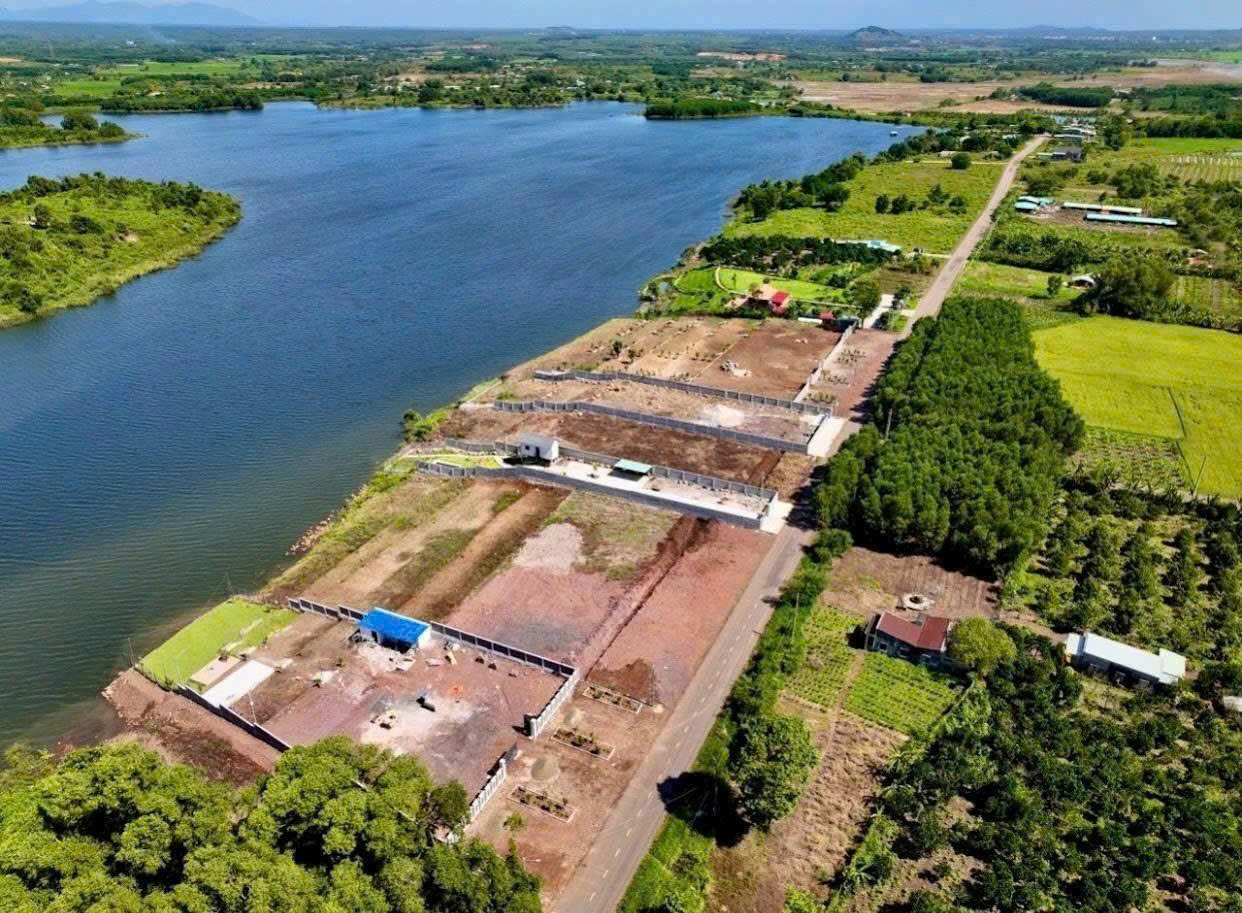 💰 Lô đất view hồ 137m² – Giá chỉ 590 triệu – Sổ sẵn, sang tên ngay! - Ảnh chính