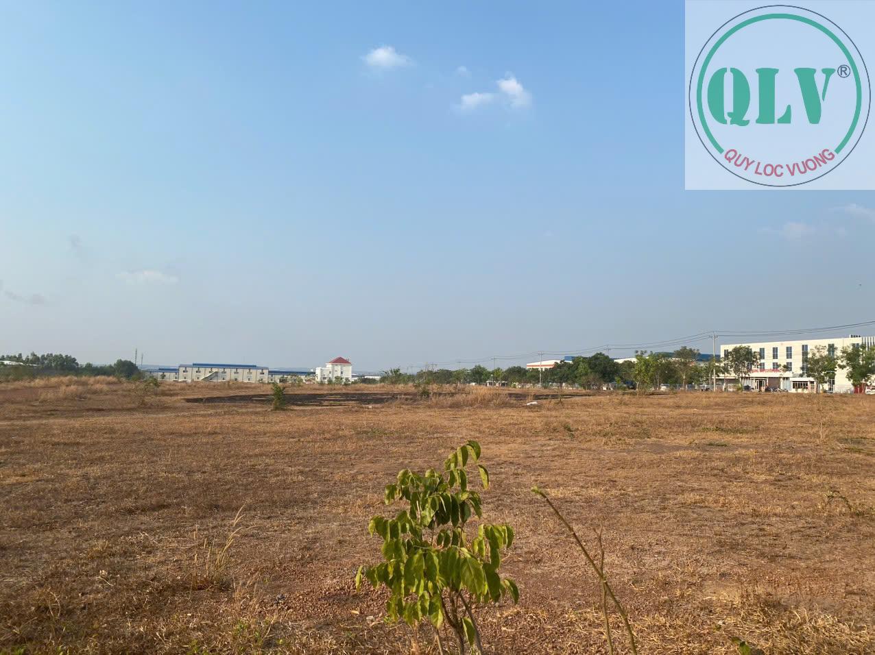 Bán 2 lô đất liền kề trong kcn Đồng Xoài 3 diện tích 7.891m2-8.337m2 vị trí vàng đầu tư. - Ảnh 2