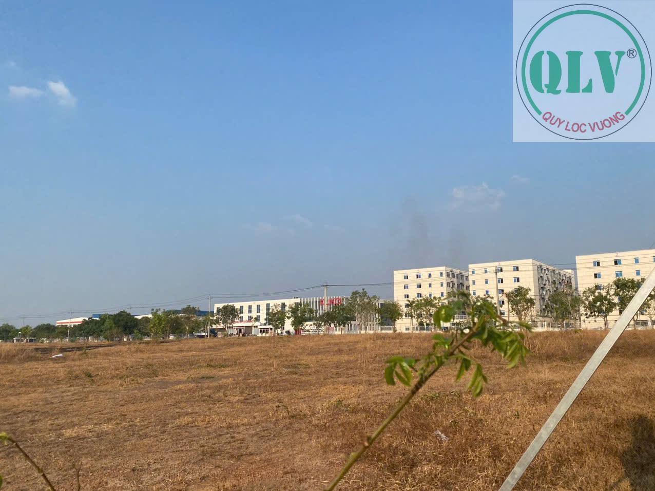 Bán 2 lô đất liền kề trong kcn Đồng Xoài 3 diện tích 7.891m2-8.337m2 vị trí vàng đầu tư. - Ảnh 3